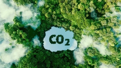 Chính sách nhà nước hỗ trợ net zero – Việt Nam Hướng Tới Mục Tiêu Net Zero 2050